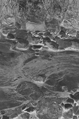 The First Image On Left Is A Straight Negative Made By Desaturating And Inverting If I Black White Print
